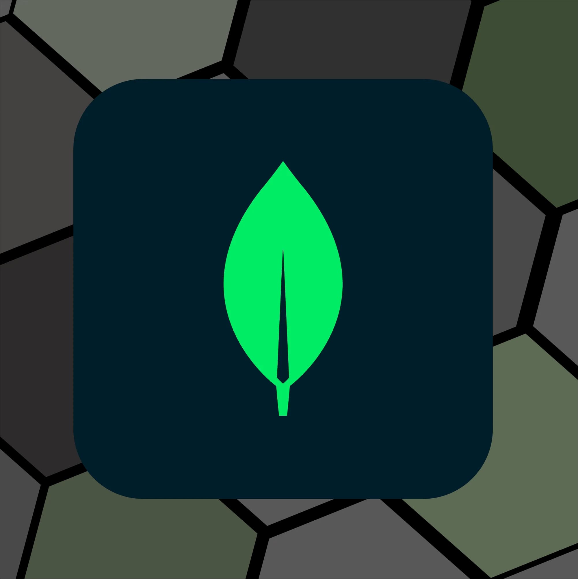 MongoDB